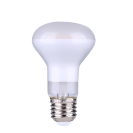 LED FIL R63 220V5W E27 2700K Lampade
